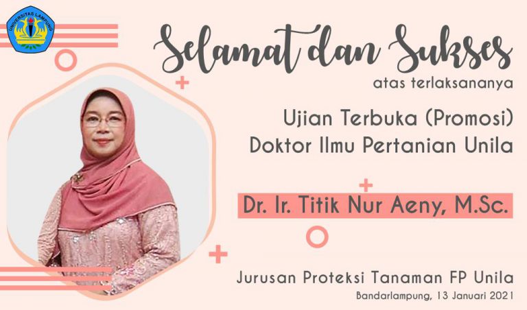 WhatsApp Image 2021-01-25 at 22.09.48